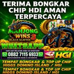thumbnail-terima-bongkar-chip-higgs-domino-island-aman-dan-terpercaya-admin-0882-7115-6933-0